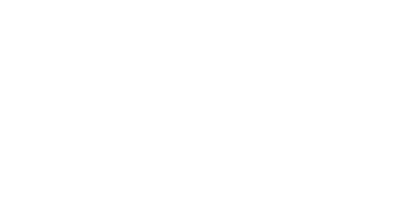 PZI logo